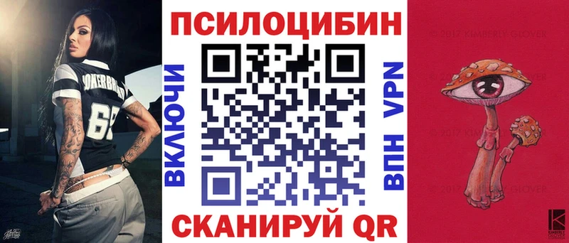 что такое наркотик  Лодейное Поле  Псилоцибиновые грибы Psilocybe 